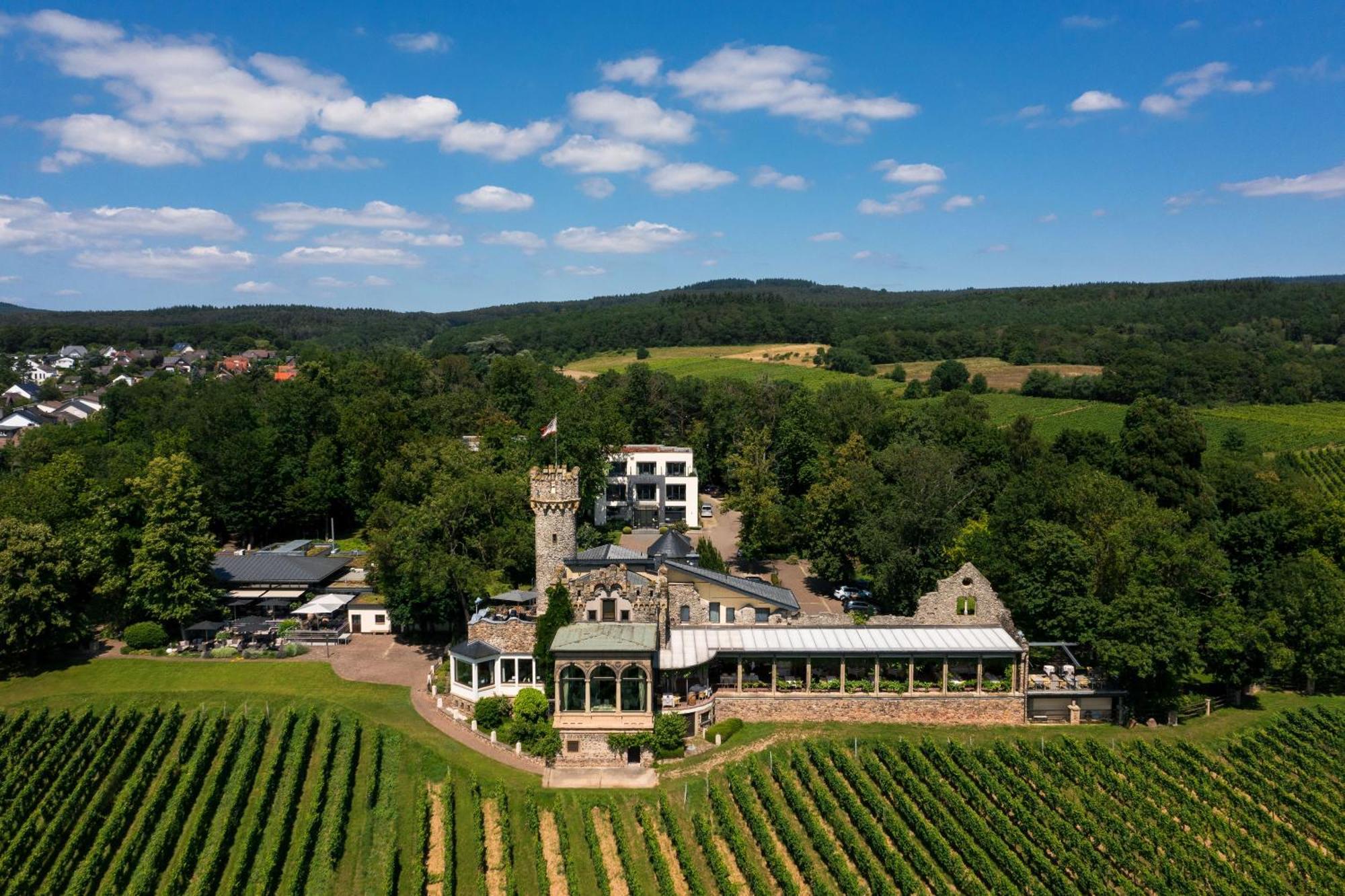 Relais & Chateaux Hotel Burg Schwarzenstein Гайзенхайм Экстерьер фото