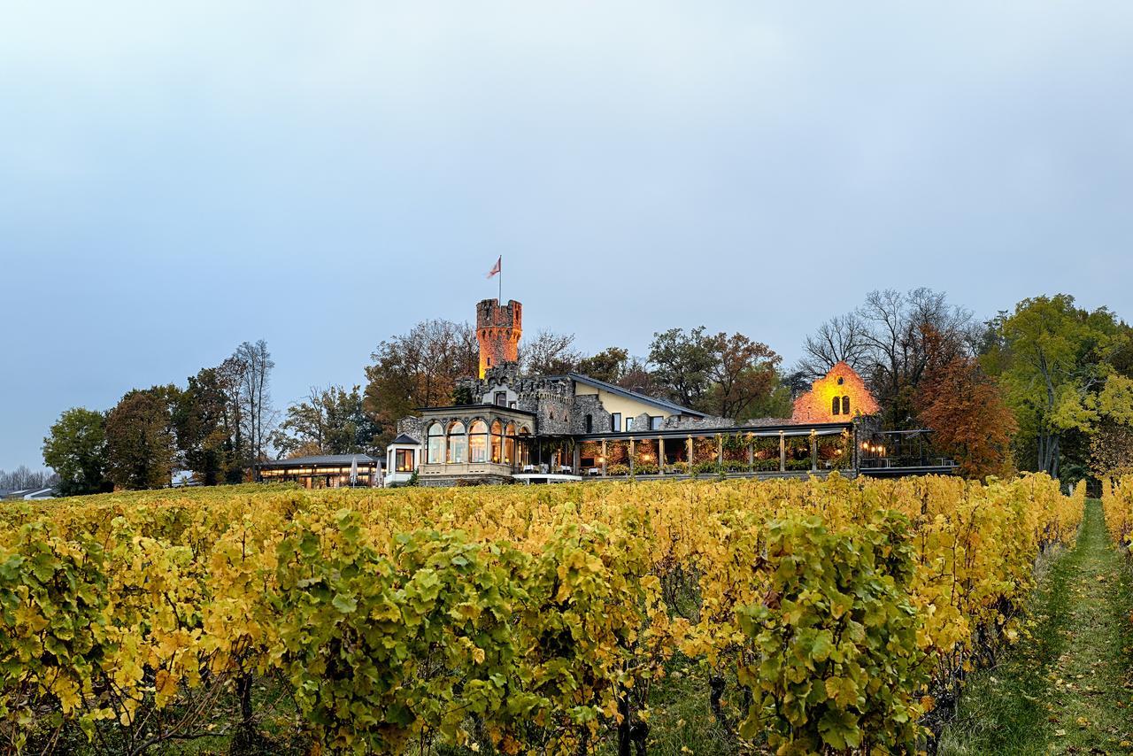 Relais & Chateaux Hotel Burg Schwarzenstein Гайзенхайм Экстерьер фото